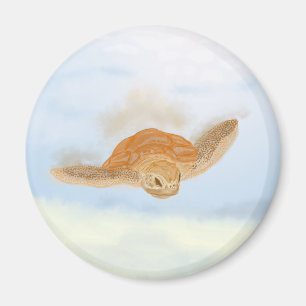 Imán Sea Turtle under Water.   