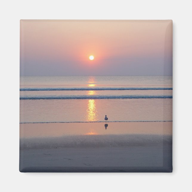 Imán Seagull Daytona Beach FL Ocean Sunrise Magnet (Frente)