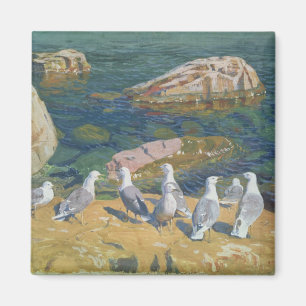 Imán Seagulls, 1910