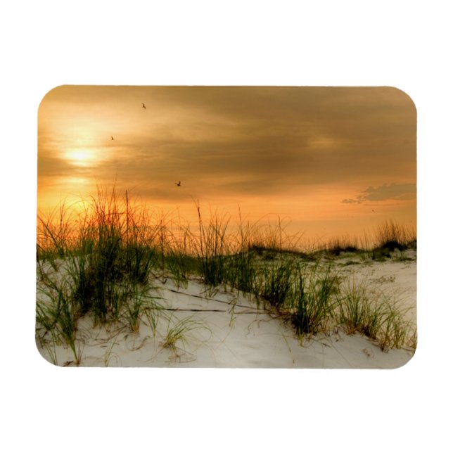 Imán Seagulls at Sunrise (Horizontal)