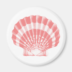 Imán Seashell - rosado coralino y blanco
