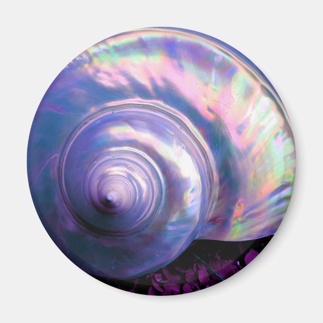 Imán Seashell tropical opal madre de perla se ve púrpur (Frente)
