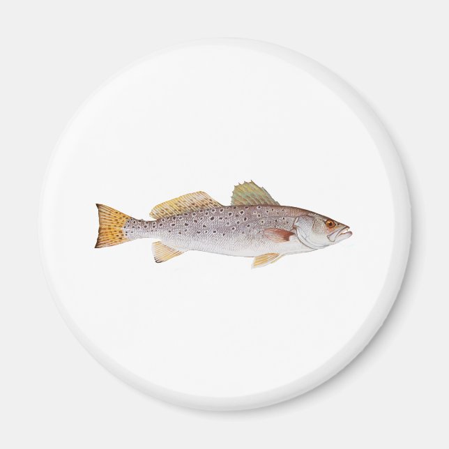 Imán Seatrout (Frente)