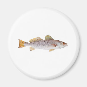 Imán Seatrout manchado