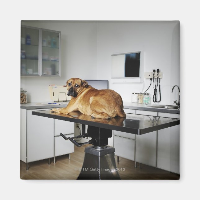 Imán Seattle, Washington, Estados Unidos 2 (Frente)