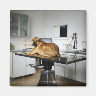 Imán Seattle, Washington, los E.E.U.U. 2