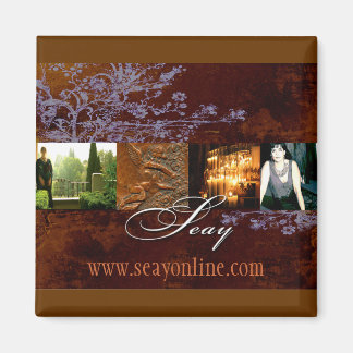 Imán SEAY Magnet
