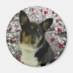 Imán Sebastian el Corgi Galés en flores