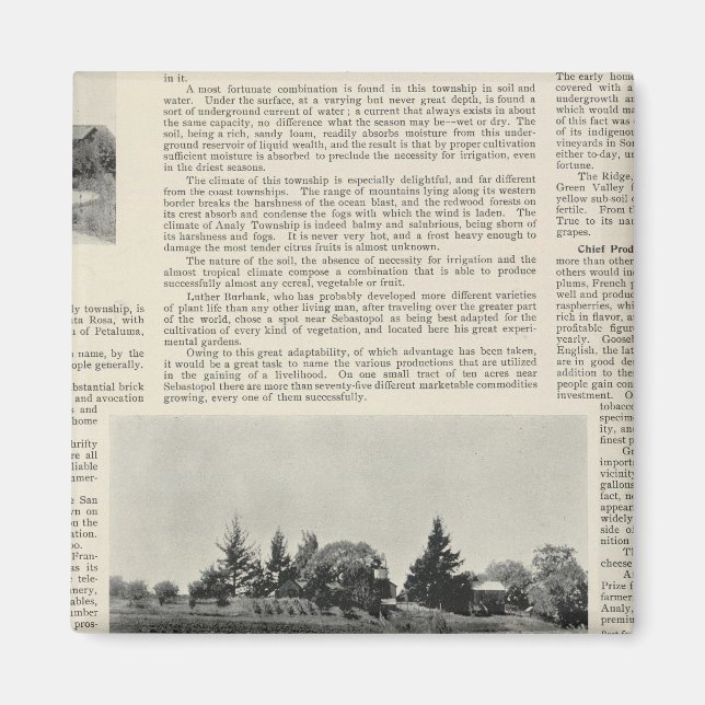 Imán Sebastopol, California (Frente)