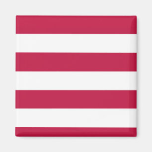 Imán - sección 3 de 8 secciones - US FLAG - Magnet