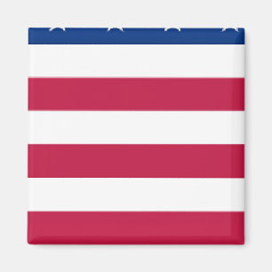 Imán sección 5 de 8 secciones - US FLAG - Magnet
