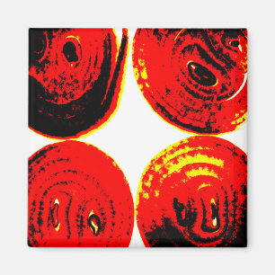 Imán Secciones de cebolla