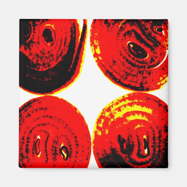 Imán Secciones de cebolla (Frente)