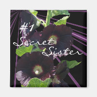 Secreto, Hermana Magnet-personalizar