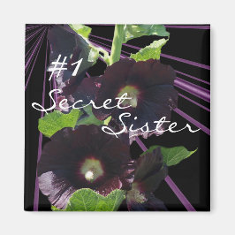 Imán Secreto, Hermana Magnet-personalizar