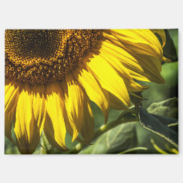 Imán - Secretos de Girasol