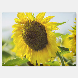 Imán - Secretos de Verano de Girasoles