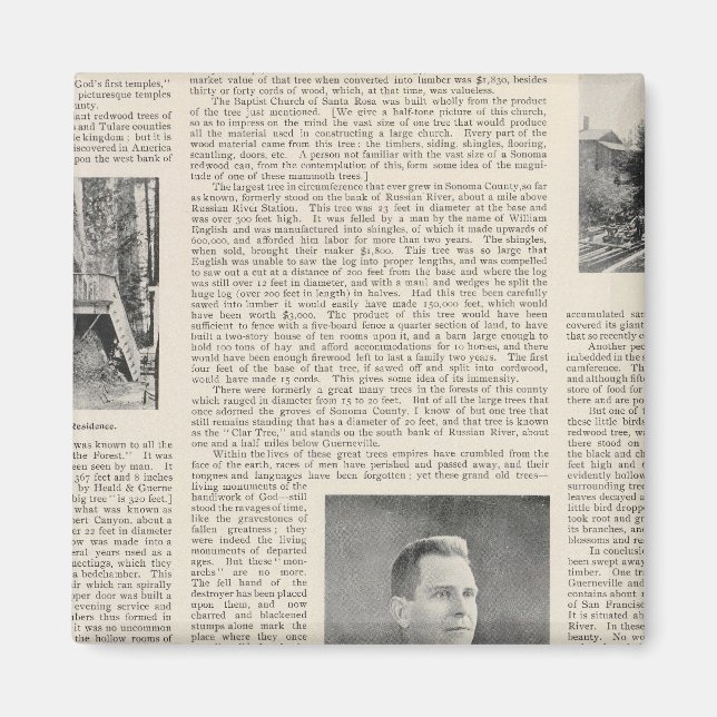 Imán Secuoyia de Sonoma, California (Frente)