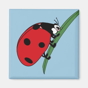 Imán Sed Ladybug