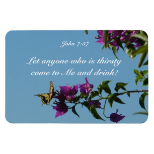 Imán Sed Swallowtail