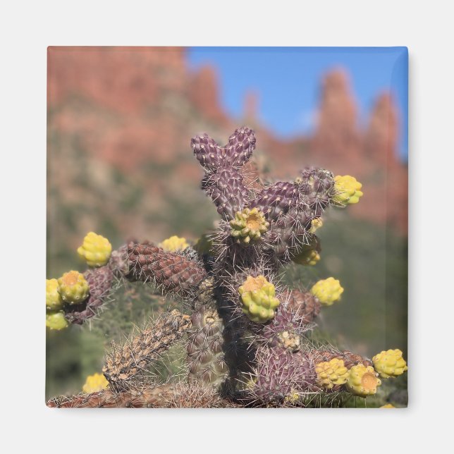 Imán Sedona Cactus Desert Magnet (Frente)