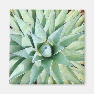 Imán Sedona Green Agave Planet Magnet