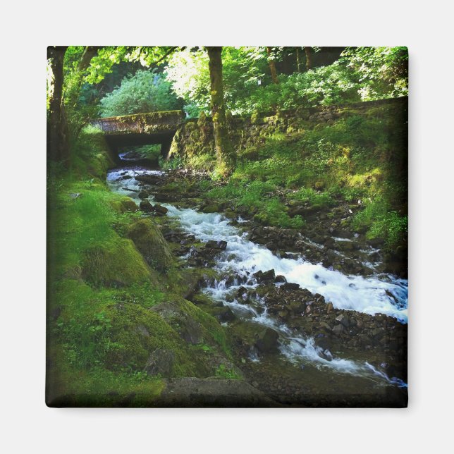 Imán Segunda vuelta de las cataratas Wahkeena, Oregón (Frente)