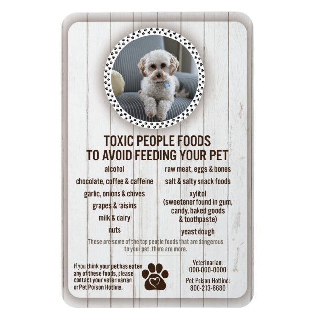 Imán Seguridad alimentaria mascota Alimentos peligrosos (Vertical)