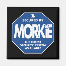 Seguridad-Morkie-Azul