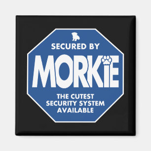 Imán Seguridad-Morkie-Azul