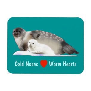 Imán Sello de anillo