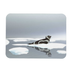 Imán Sello de la cinta en el hielo