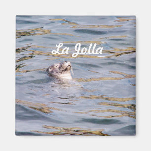 Imán Sello de La Jolla