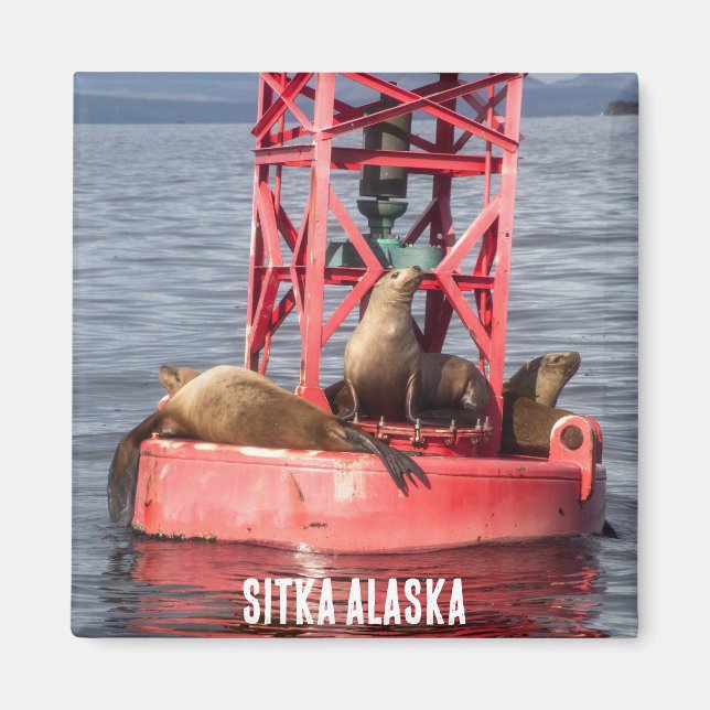 Imán Sellos de puerto - Mimbre Sitka Alaska (Frente)