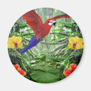 Imán Selva tropical tropical
