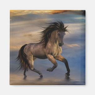 Imán Semental salvaje