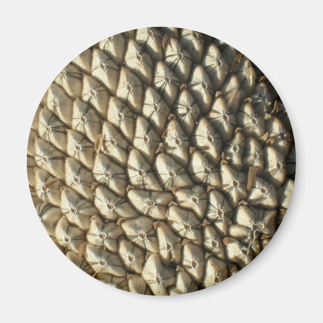 Imán - Semillas de girasol (Frente)