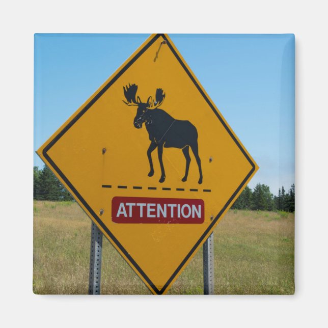 Imán Señal de advertencia de alces (Frente)