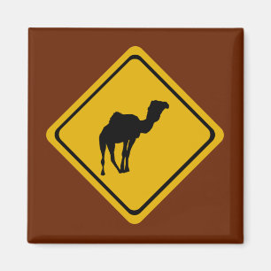Imán señal de carretera de camello