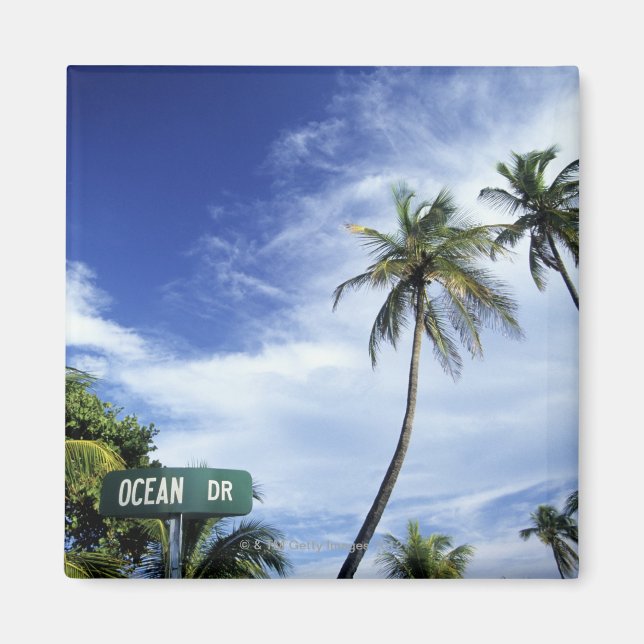 Imán Señal de ruta de Ocean Drive, South Beach, Miami,  (Frente)