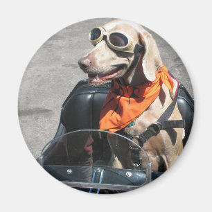 Imán Sencillo piloto