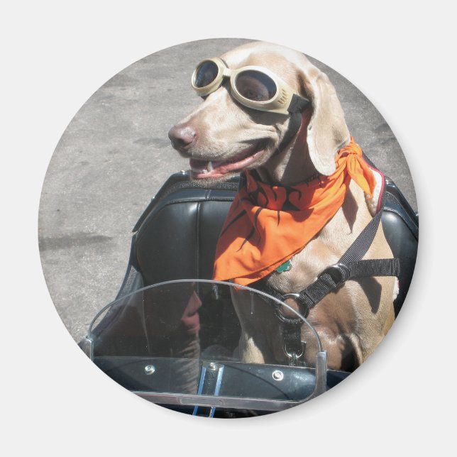 Imán Sencillo piloto (Frente)