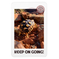 Senderismo por Baby Sulcata en Sedona Red Roca Ari