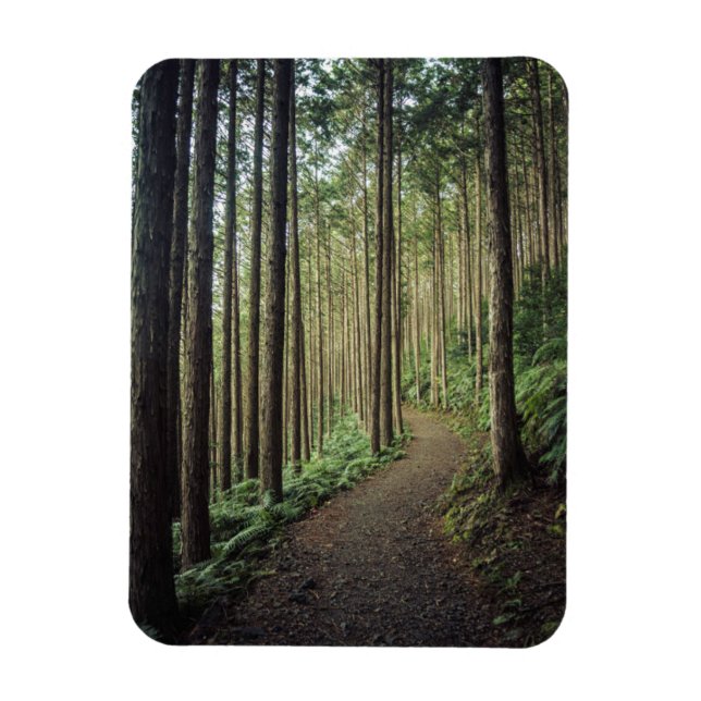 Imán Senderismo por las montañas | Wakayama, Japón (Vertical)