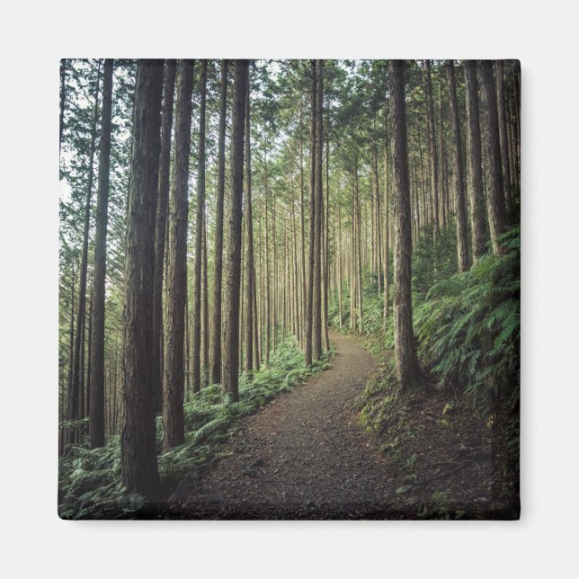 Imán Senderismo por las montañas | Wakayama, Japón (Frente)