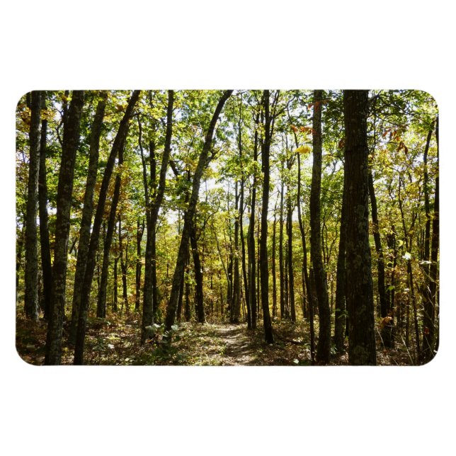 Imán Sendero Apalache en octubre en Shenandoah (Horizontal)