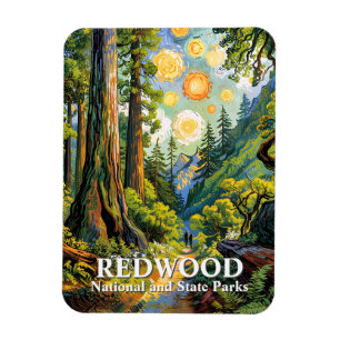 Imán Sendero de excursión del Parque Nacional Redwood V