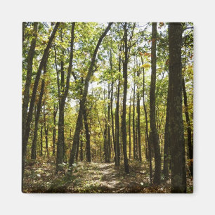 Imán Sendero de los Apalaches en octubre en Shenandoah