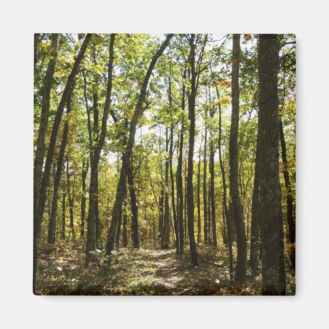 Imán Sendero de los Apalaches en octubre en Shenandoah (Frente)