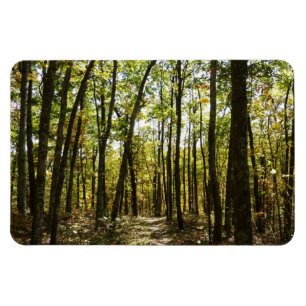 Imán Sendero de los Apalaches en octubre en Shenandoah